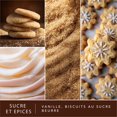 thumbnail image 3 of ScentSationals Scented Wax Cubes - Sugar & Spice, 3 of 5