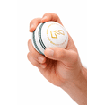 thumbnail image 3 of LinkZ Cricket Essential Kit, 3 of 12