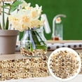thumbnail image 2 of Small Green Stones Polished River Rocks Stepping Stones for Kids Craft Decorative Stones for Vases Clear Stepping Stones Outdoor Kids Stepping Stones for Kids Garden Decorative Stones for Vases Amber, 2 of 4