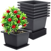 6PCS Plant Pots, Square Planter Bonsai Training Pots with Trays Plastic Flower Pots for Indoor Outdoor Garden