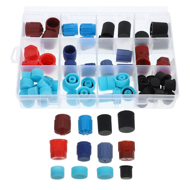 77 Pcs Bouchons de Joint de Valve de Climatisation Bouchons de Protection de Noyau de Valve Ac Compatibles pour R134a R12 Ac