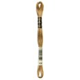 thumbnail image 1 of DMC 6-Strand Cotton Embroidery Floss, 8 m (8.7 yd), Brown, 1 of 2