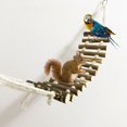 thumbnail image 2 of WIFKLSIIPG Small Parrot Rat Toy Bridge Ladder Hamster Bird Cage Accessories, 2 of 5