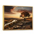 thumbnail image 2 of Designart Large Sky framed wall Art, Brown Sky Photo euphony , sky framed wall art decor, Multi-Color Traditional Gold framed wall art, 44x34 inches Gold Frame, 2 of 5