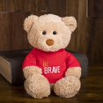 thumbnail image 1 of Teddy bear plush gift, be brave., 1 of 1