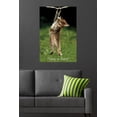 thumbnail image 4 of Famous Kitten Hang In There Poster Wall Poster, 22.375" x 34", 4 of 4