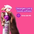 thumbnail image 4 of APRÈS-SHAMPOING SANS RINÇAGE CURL TALK, 4 of 9