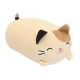 thumbnail image 1 of Coussin en Duvet Animal Chat Fleur, Oreiller en Duvet Adapté pour Offrir à des Êtres Chers Camarades de Classe Comme,23 cm, 1 of 4