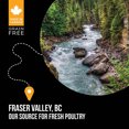thumbnail image 5 of Petite Race Adulte - Sans Grains SubZero - Fraser Valley - Nourriture Sèche pour Chien, 5 of 5