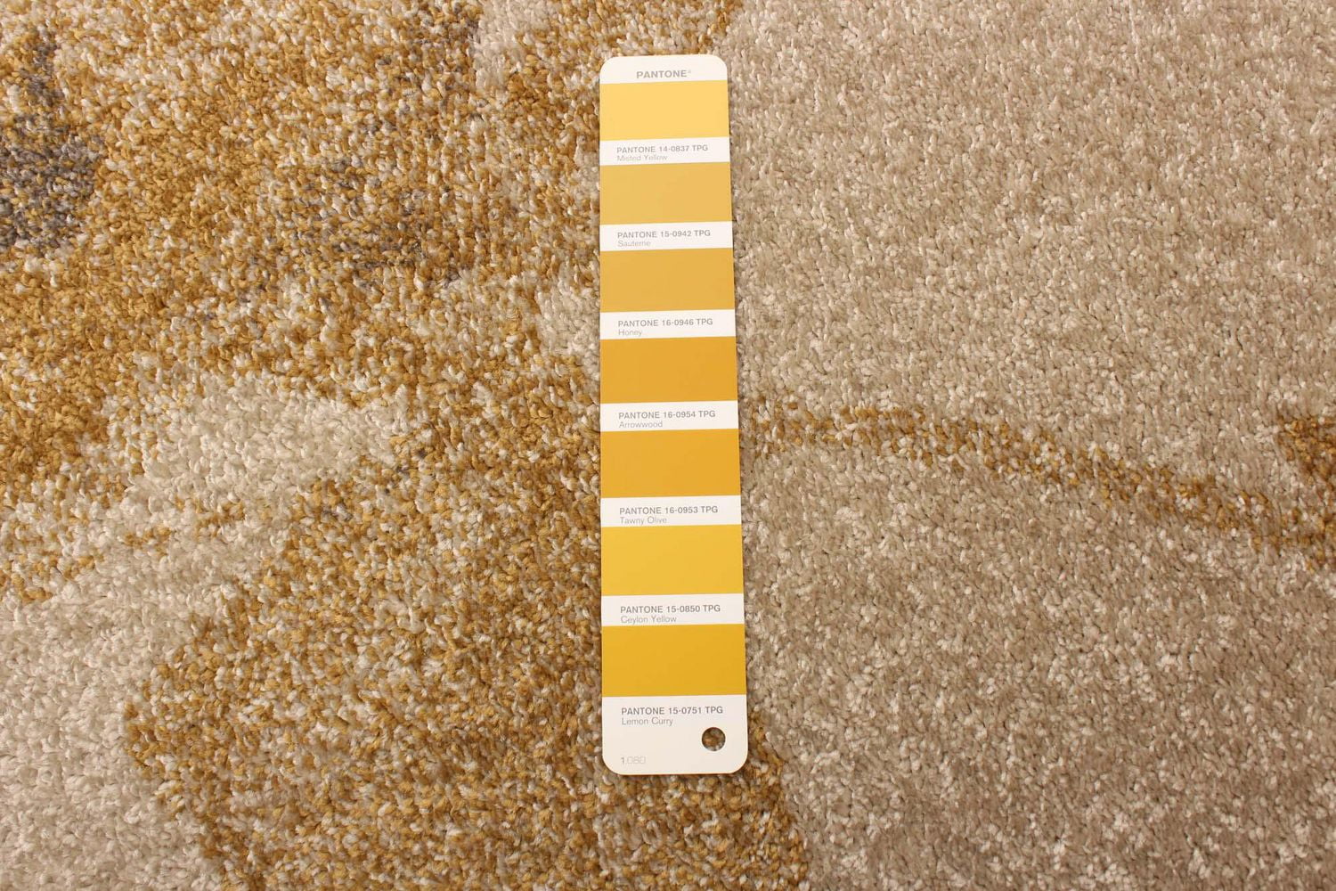 Tapis d'Interieur ECARPET Floral pour Salon, Chambre à Coucher, Chambre d'Enfant Collection Karina