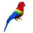 thumbnail image 1 of veasfak Fake Artificial Feathered Bird Realistic Garden Home Decor Taxidermy 44 Patterns Parrot 4, 1 of 6