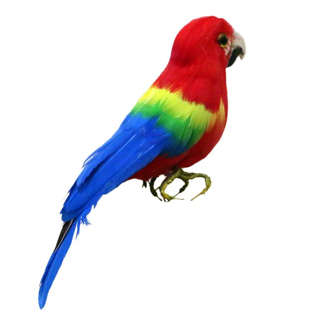 veasfak Fake Artificial Feathered Bird Realistic Garden Home Decor Taxidermy 44 Patterns Parrot 4