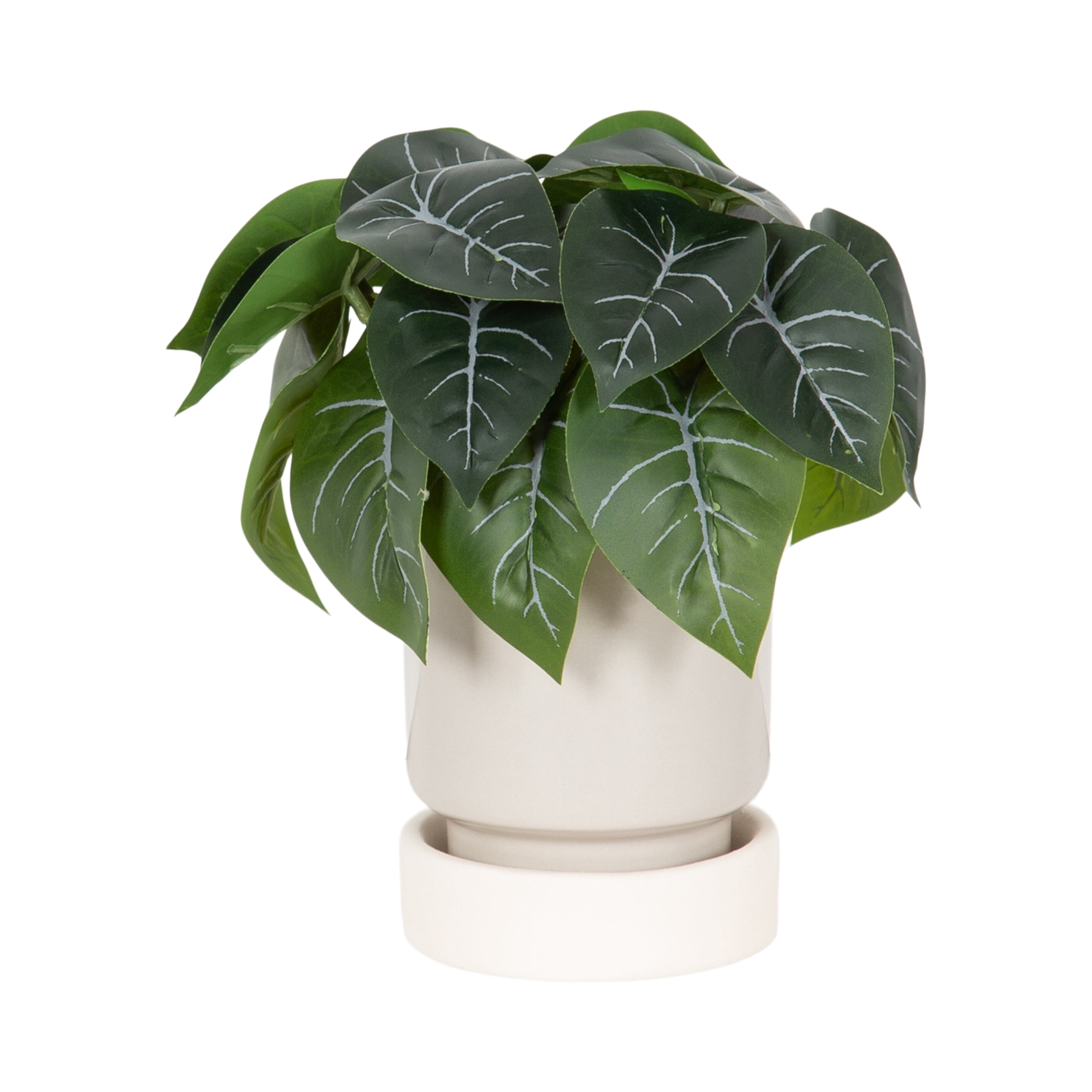 Plante artificielle avec feuillage panaché de 17,78 de hauteur dans un pot en céramique à deux tons de DesignOvation