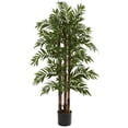 thumbnail image 1 of 4&rsquo; Parlour Palm Tree, 1 of 1
