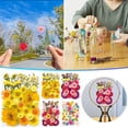 thumbnail image 1 of Vaidha Fleurs Séchées et Embossées pour Résine Kit Bougies et Bricolages, 1 of 1