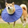 thumbnail image 4 of CBFFDC Lightweight Pet Collar Protective Pet Recovery Collar Comfortable Water Resistant Quick Drying High Elastic Neckline Pet Supply, 4 of 6