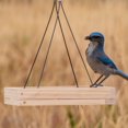 thumbnail image 2 of Perky-Pet 1.6 lb Hanging Tray Bird Feeder, 2 of 3