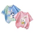 thumbnail image 1 of Jamicy Chemises de Bain pour Filles Cadeau pour Enfants Hauts Mignons pour Filles 2 Pcs Manches Courtes T-Shirts d'Été Mode T-Shirts Graphiques Col Rond Pull Tee, 1 of 3