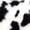 SUGARLAND BLACK & WHITE, variant on BELTON FAUX FUR PILLOW 18"X18" 2-PACK