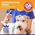 thumbnail image 3 of Arm & Hammer® Super Deodorizing Spray, 3 of 5