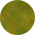 thumbnail image 1 of Ahgly Company Tapis d'Intérieur Ronds Transitionnels Vert Olive Lavables à la Machine, 4 Pieds Rond, 1 of 7