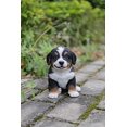 thumbnail image 3 of Hi Line Gift Bernese Mountain Dog Puppy Statue, 3 of 5