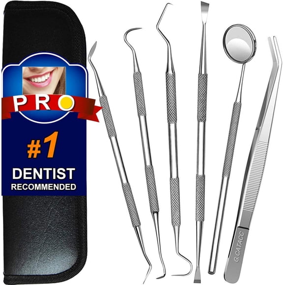Outils Dentaires, 6 Pcs Outils de Nettoyage des Dents en Acier Inoxydable Détartrant Grattoir pour Plaque Dentaire Cure-Dent Ensemble d'Outils d'Hygiène Dentaire avec Miroir Buccal, Trousse de Pince pour Dentiste, Soins Buccaux Familiaux, Chiens