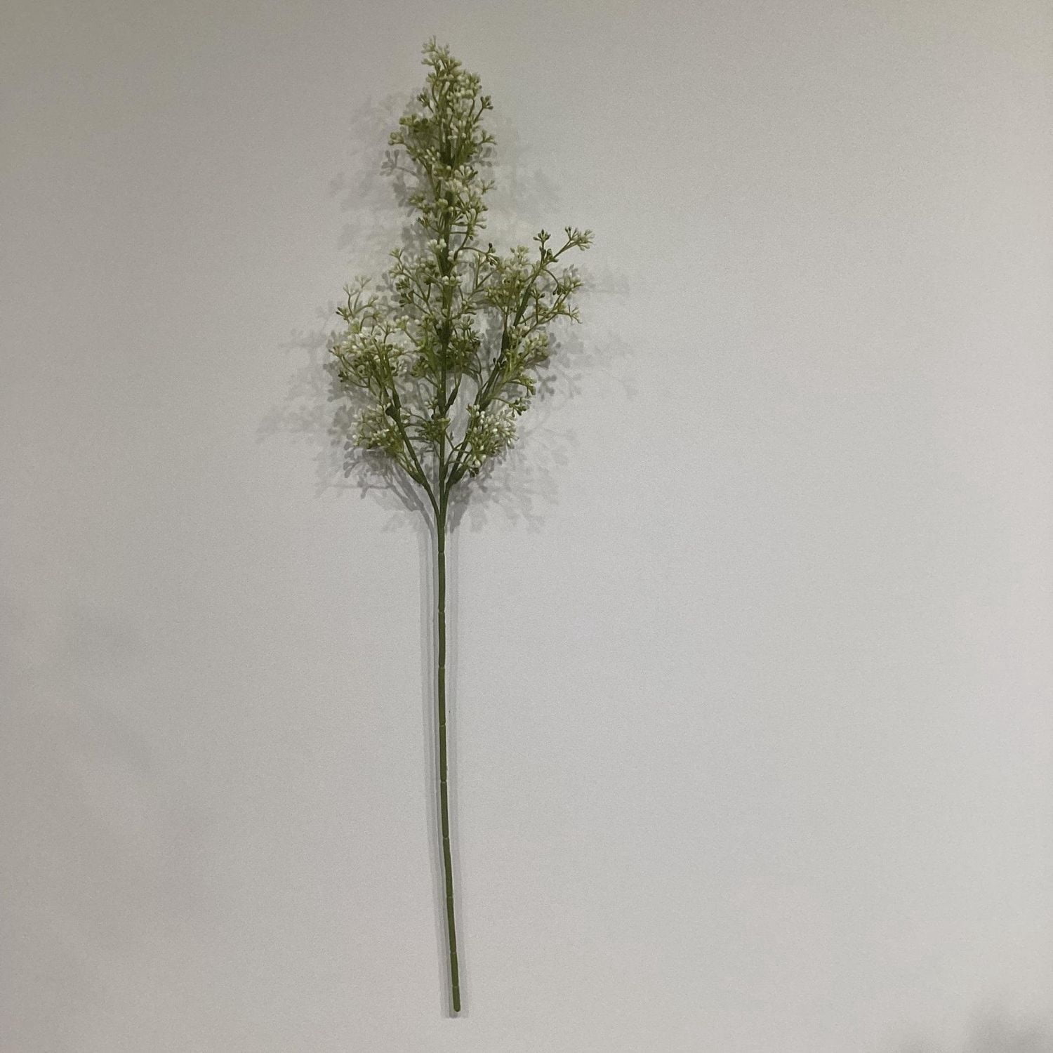 FLEUR DE SOUFFLE DE BEBE