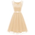 thumbnail image 3 of Pisexur Robe Sans Manches Col en V pour Femmes Robe Vintage en Dentelle Sans Manches Col en V Robe à Lacets, 3 of 3