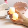 Shell Pearl Light Led Accent Lamp Portable Nightlight - white dontodent ...