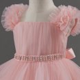 thumbnail image 4 of Birthday Party Dress for Girls, Short Sleeve Round Neck Ruffled Lace Embroidery Mesh Princess Bow Skirt in Light Blue, Size 90, 4 of 8