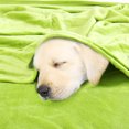 thumbnail image 4 of Unique Bargains Queen Size Soft Warm Fleece Blanket Throw Rug Plain Plush Flannel Blankets Lime Green for Home Bedding for Home, 4 of 10