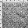 thumbnail image 3 of oneOone Tissu en Rayonne Gris Floral Rétro Matériel de Robe Tissu Imprimé Tissu au Mètre 56 Pouces de Large, 3 of 5