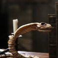 thumbnail image 3 of Estbridge Official Crazybonez Faux Bat Skeleton, 3 of 5