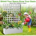 thumbnail image 1 of Edtara Raised Metal Garden Box With Horizontal Grid Trellis, Built-In Privacy Screen and Drainage Holes, Ideal Planter for Outdoor Climbing Flowers, Vegetables and Vines, 1 of 8