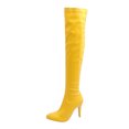 thumbnail image 2 of EGNMCR Bottes d'Hiver pour Femmes Chaussures pour Femmes d'Hiver à Bout Pointu Fines à Talons Hauts Bottes pour Femmes, 2 of 5