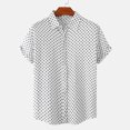 thumbnail image 2 of RKSTN Chemise pour Homme Plage Hawaïenne Décontractée Chemise à Pois Col Rabattu Blouse à Manches Courtes Hauts, 2 of 9