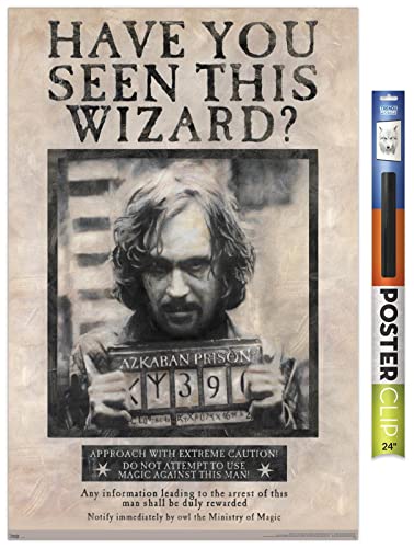 Harry Potter16744