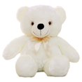thumbnail image 1 of Valentine's Day Light Up LED Inductive Teddy Bear Stuffed Animals Plush Toy Colorful Glowing Teddy Bear, 1 of 7