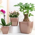 thumbnail image 1 of Flower Pot Self Watering Heat Resistant PP Automatic Draining System Planter Household Supplies, 1 of 9