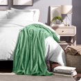 thumbnail image 5 of Bare Home Microplush Fleece Blanket - 300 GSM - Fuzzy Microfleece - Soft & Plush - Throw/Travel, Meadow, 5 of 5