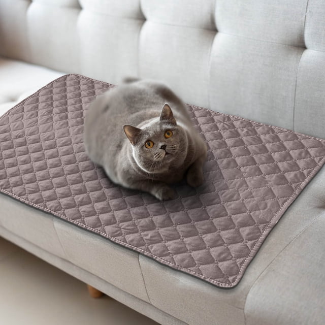 Sale Today Clearance! Pet Sofa Mat With Pillow And Summer Heat Relief Pet Mat