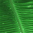 thumbnail image 1 of Ahgly Company Machine Washable Indoor Square Transitional Green Area Rugs, 5' Square, 1 of 7