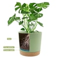 thumbnail image 4 of QCQHDU 2 Pack Plant Pot, Green Plastic Indoor Planter With Drainage Holes And Removable Base, 4 of 6
