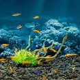 thumbnail image 4 of lionlar Side Aquarium Background Backdrop Poster Decoration Wallpaper Sticker - L L, 4 of 6