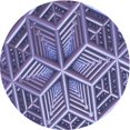 thumbnail image 1 of Ahgly Company Tapis d'Intérieur Lavables en Machine, Ronds, Transitionnels, Violets Mimosa, Ronds de 8', 1 of 7