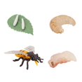 thumbnail image 2 of Agiferg Simulation Arthropod Life Cycle of a Spider Bee Ladybugs Model, 2 of 3