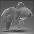 thumbnail image 1 of Ahgly Company Tapis d'Intérieur Lavable à la Machine, Carré, Transitionnel, Gris, Tapis de Zone, 4 Pieds Carré, 1 of 7