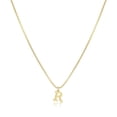 thumbnail image 1 of RXIRUCGD Collier Initial Ajoute une Pièce à Votre Look Quotidien Collier Délicat pour Femmes, 1 of 1