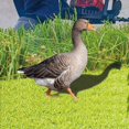View all media